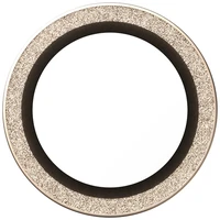 PanzerGlass Hoops Glitter Tempered Glass Lens Apsauginis stiklas skirtas iPhone Air - auksinis