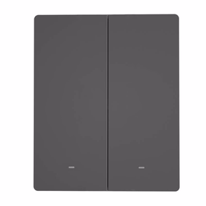 SONOFF M5-2C-80 išmanusis Wi-Fi sieninis jungiklis (2 kanalų, rėmeliui, grafito)