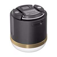 EcoFlow kempingo šviesa (N).