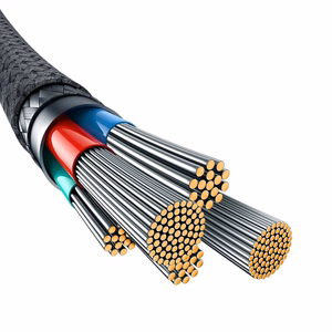 Baseus Unbreakable USB C ir iP kabelis 2 m 20 W juodas