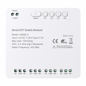 DIY Avatto WSMD-4 32V išmanusis jungiklio modulis