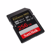 SanDisk SDSDXEP-256G-GN4IN atminties kortelė 256 GB SDXC UHS-II Klasės 10