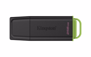 Kingston 256GB nešiojamasis USB 3.2 juodas/žalias