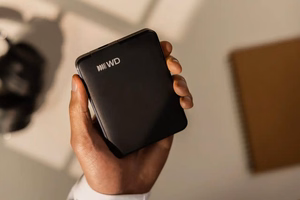 WD Elements Portable USB-C 1TB išorinis kietasis diskas, juodas
