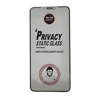 LCD apsauginis stikliukas ESD Anti-Static Privacy Apple iPhone 12 Pro Max