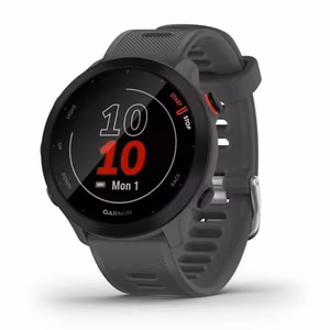 Garmin Forerunner 55 – GPS išmanusis laikrodis, MIP, 42 mm, pilkas