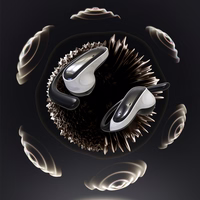 Dudao U17Z Bluetooth 5.3 OWS ausinės with Ear Hooks - juodas