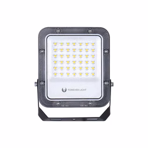 Floodlight LED PROXIM+ 30W 6500K 4500lm 230V IP65 Forever Light 150lm/W 5 years warranty