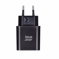 Įkroviklis Blue Star (TFB-TC-25W) + "USB-C (Type-C) to "USB-C (Type-C)" (1xUSB-C 25W) juodas