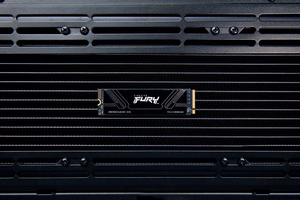 Kingston Technology 1T FURY RENEGADE G5 M.2 2280 NVMe SSD