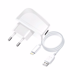 BLUE STAR LITE kelioninis įkroviklis 1A 5W USB A + kabelis USB A į Lightning TFK-TC-1095B baltas