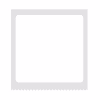 Niimbot terminiai lipdukai T 40x40mm 180 vnt. (balti)