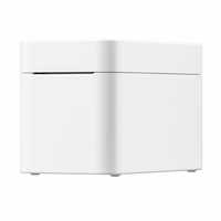 Niimbot K2 nešiojamas etikečių spausdintuvas (baltas)