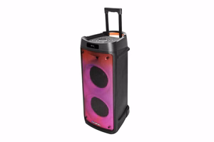 Blaupunkt PB08DB Nešiojamasis arba vakarėlių garsiakalbis Juoda 700 W