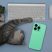 Silikoninis 2mm dėklas telefonui IPHONE 17 Pro, suderinamas su Magnetine MagSafe funkcija, mėtų spalvos