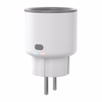Sonoff S60TPF WiFi smart socket (2pak)