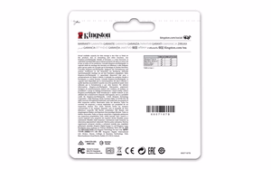 Kingston Technology DataTraveler Micro USB atmintukas 256 GB USB A tipo 3.2 Gen 1 (3.1 Gen 1) Sidabras