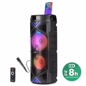 MEDIA-TECH POWER AUDIO BT FUNBOX KEG PRO MT3182 belaidis garsiakalbis
