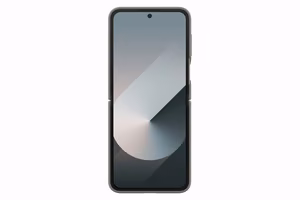 PF741TJEGWW silikoninis dėklas Samsung Galaxy Flip6, pilkas