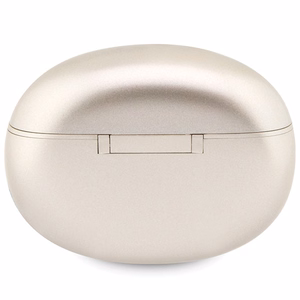 Guess Classic EST Bluetooth TWS belaides ausines - auksines