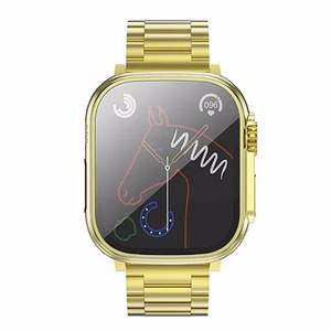 Išmanusis laikrodis Hoco 1,96" TFT su skambučių funkcija Y12 Ultra titanium auksinis [EOL]