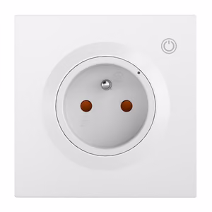 Sonoff WS01TPE-E WiFi išmanioji sieninis lizdas (Type E)