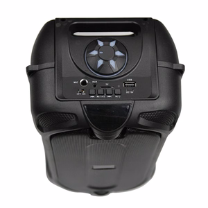 Esperanza EP157 BT FM LED RGB garsiakalbis juodas 10W