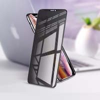 Borofone apsauginis stiklas BF7 Diamond Armor pilnas ekranas Anti-spy Iphone X/XS/11 Pro - 10 vienetų