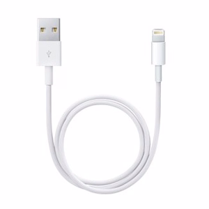 Apple Lightning į USB laidas (0.5 m)