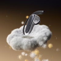 Dudao U17Z Bluetooth 5.3 OWS ausinės with Ear Hooks - juodas