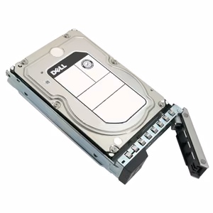 Dell 12TB 7.2K RPM SATA 6Gbps 512e 3.5in Hot-plug Hard Drive, CK 7200 RPM 12000 GB Hard drive Hot-swap