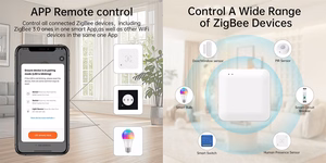 TUYA daugiafunkcinė išmanioji centralė, ZigBee, Wi-Fi, Bluetooth