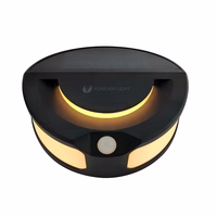 Forever Light Solar LED Lempa SUNARI FLS-13 32*SMD PIR 6W 300lm 3000K 1200mAh Li-ion