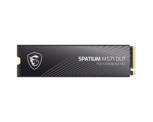 MSI SPATIUM M571 DLP PCIe 5.0 NVMe M.2 4TB vidinis SSD 3D NAND