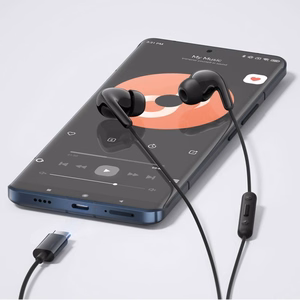 Ausinės Xiaomi USB-C juodos BHR8930GL