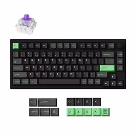 Belaidė klaviatūra KEYCHRON P1 HE RGB Black P1H-M1Z