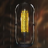 WEKOME WP-C37 Sakin Series - USB-C & USB-A Fast Charging PD 20W automobilinis įkroviklis (auksinis)