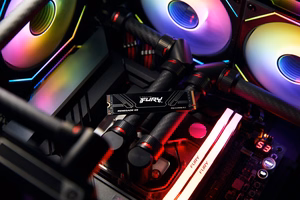 Kingston Technology 4T FURY RENEGADE G5 M.2 2280 NVMe SSD