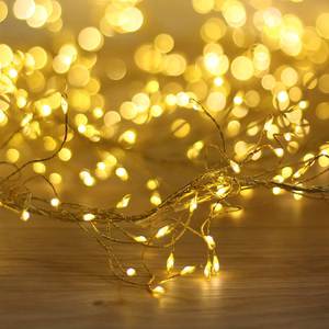 String Light GOLDEN TWIG CLF-03z 480LED cold white 3m + 5m Forever Light