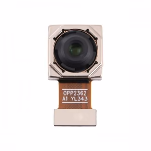 Kamera skirta Xiaomi Mi 11 Lite 5G / Mi 11 Lite NE galinė (64MP)