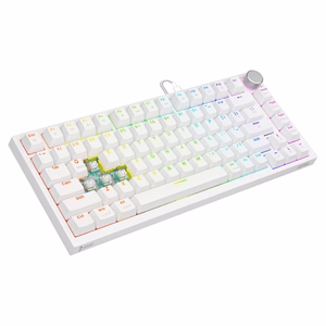 Savio ASTRAL WHITE JADE клавиатура игровая USB QWERTY US International