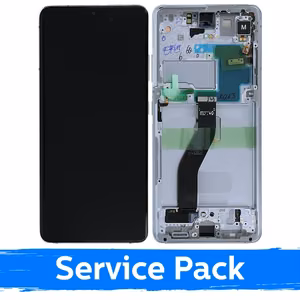 Ekranas skirtas Samsung G998 S21 Ultra su rėmeliu / Phantom Silver / (Service Pack)