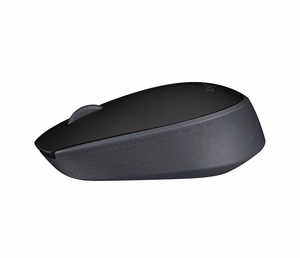 Logitech M170 belaidė pelė