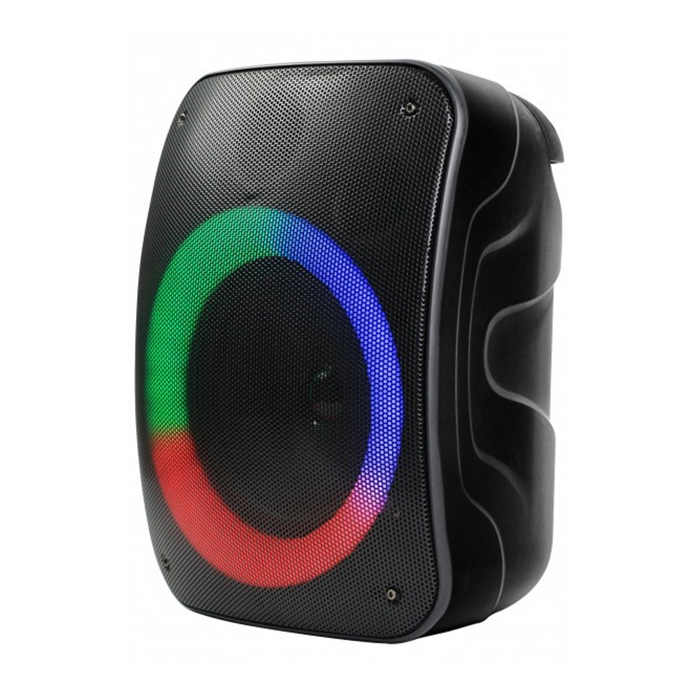 Rebeltec Bluetooth garsiakalbis STAGE 300 juodas