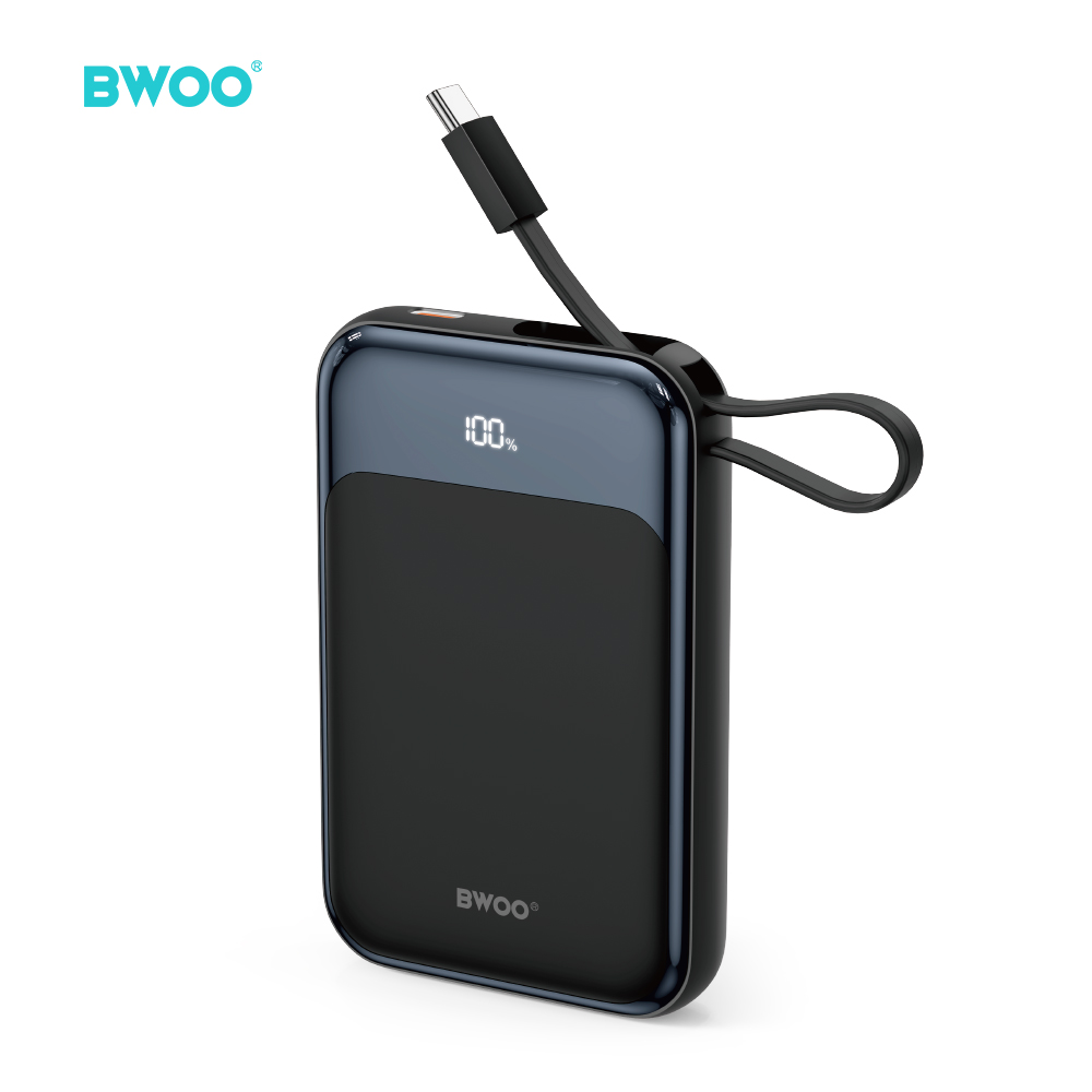 BWOO PD 20W 10000 mAh Išorinė baterija With Usb-c Laidas and Ekranas P80 auksinis