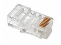 RJ45 jungtis Genway