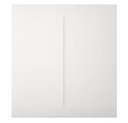 Ajax 45116 išmanusis centro mygtukas 2 grupių baltas