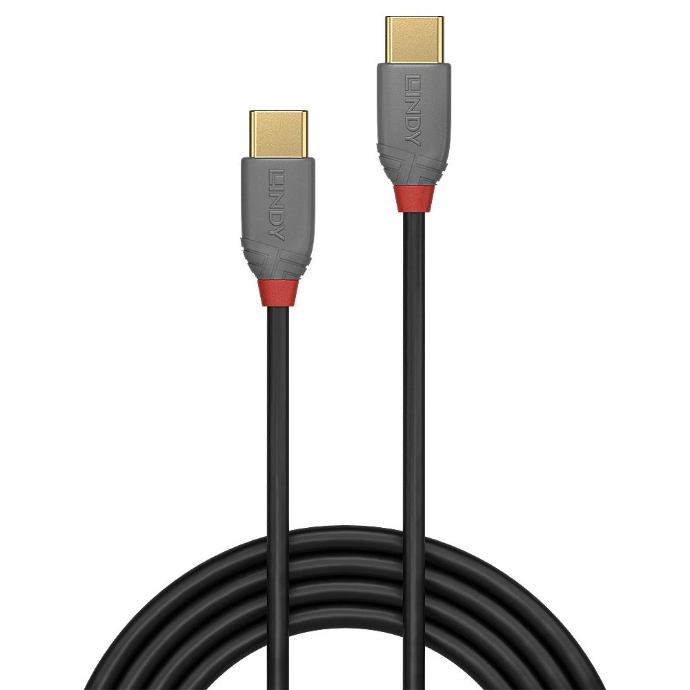 Lindy USB2 Type C laidas 1m Anthra