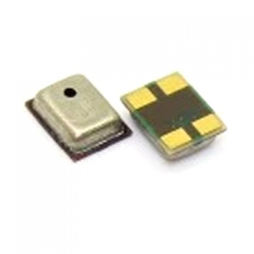 Mikrofonas skirtas Versija Nr.21 (S/N 191)