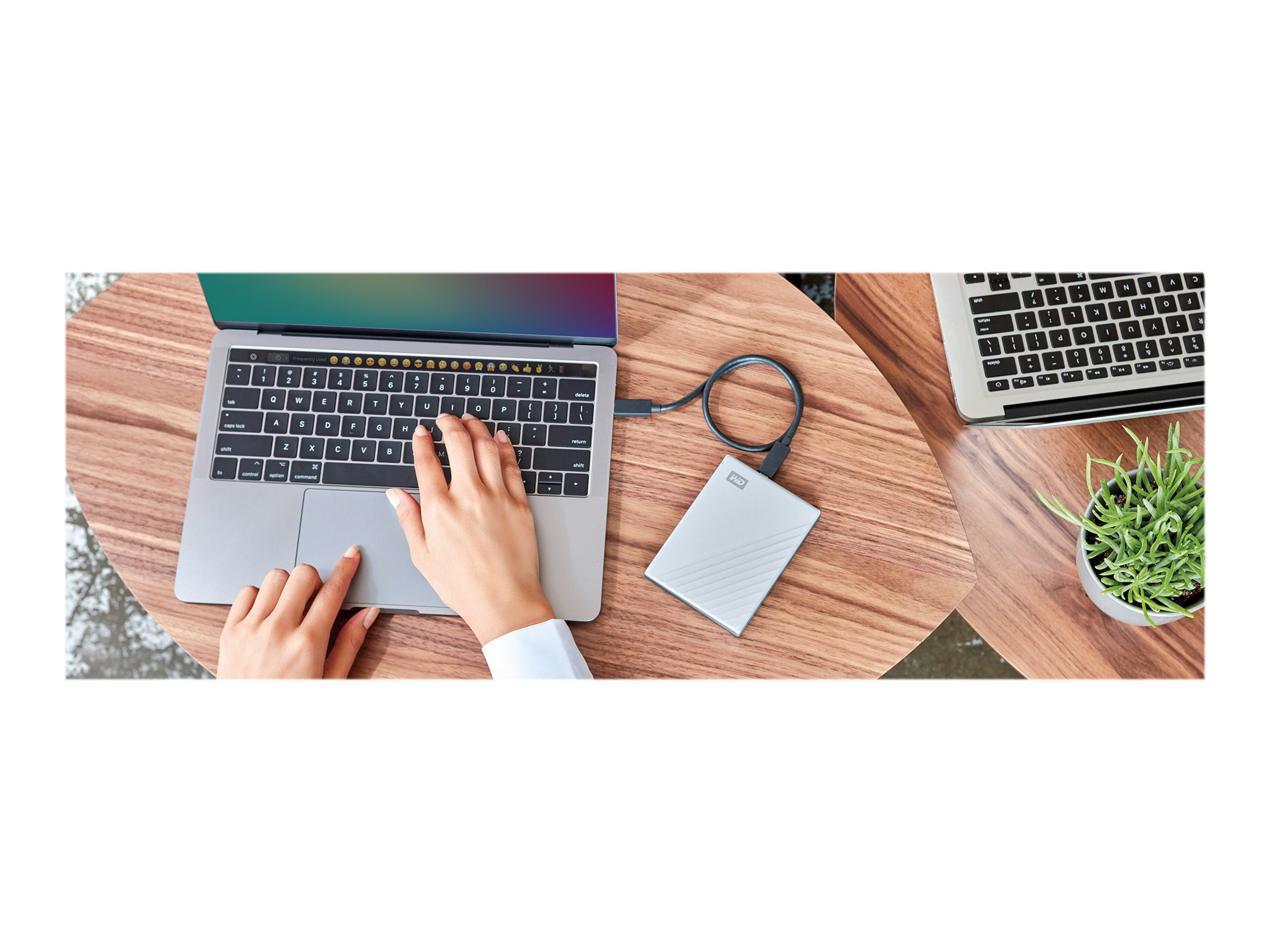 WD My Passport Ultra Mac 5TB sidabrinis